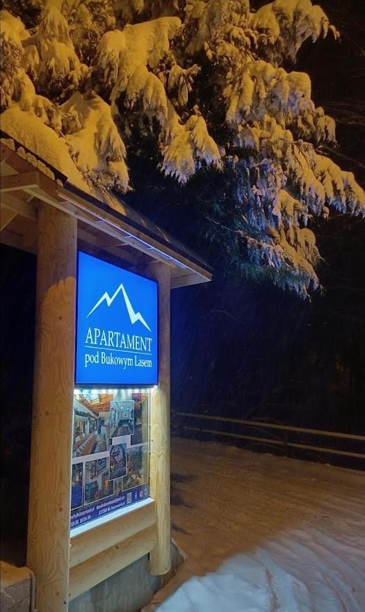 Apartament Pod Bukowym Lasem Meszna Esterno foto